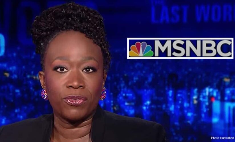 MSNBC guest claims border crisis ‘manufactured’ by ‘desperate’ Republicans