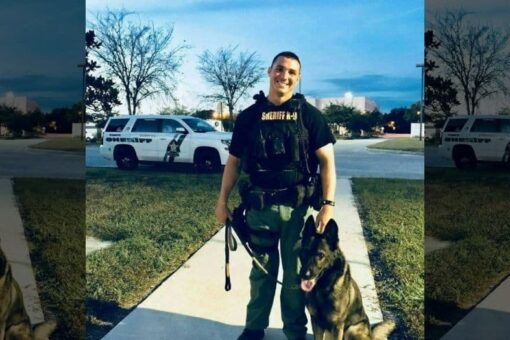 Florida police dog helps capture man involved in fatal shooting, $100G robbery