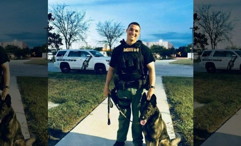 Florida police dog helps capture man involved in fatal shooting, $100G robbery