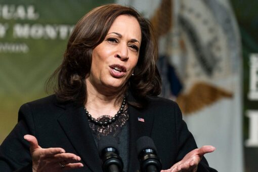 Kamala Harris purposely ‘avoids’ US-Mexico border: Border Patrol council chief