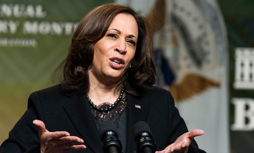 Kamala Harris purposely ‘avoids’ US-Mexico border: Border Patrol council chief