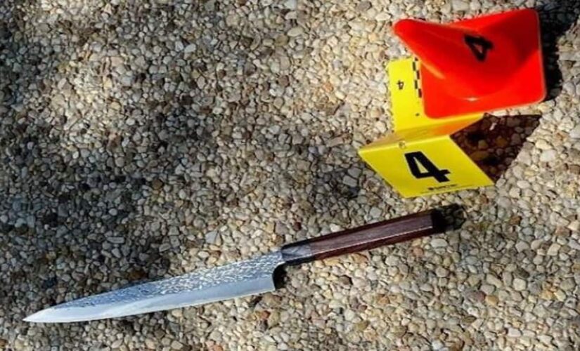 Weapon used in DC Capitol attack that killed officer revealed