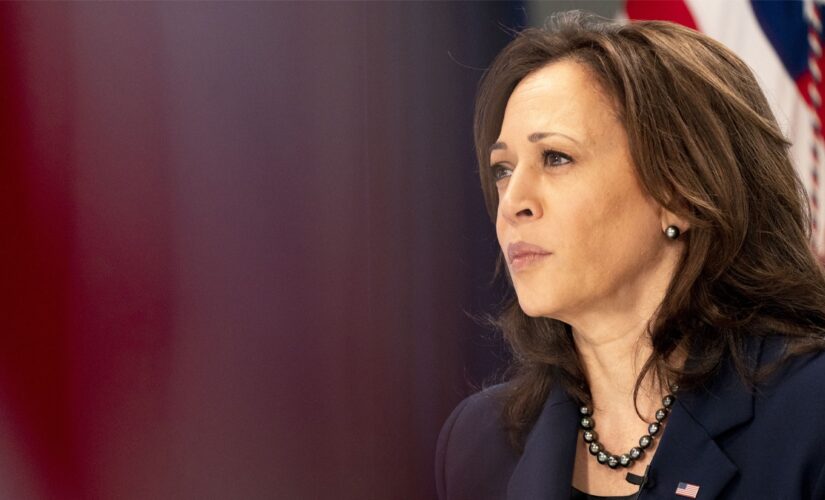 Kamala Harris isn’t at the southern border — but migrant kids are getting Veep’s book