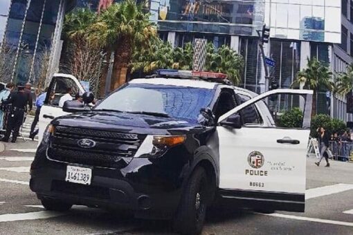 Los Angeles children found stabbed to death, hunt for suspect