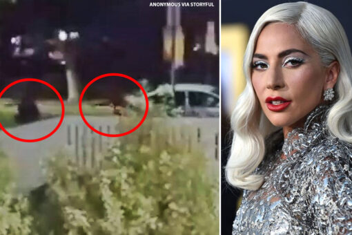 Lady Gaga’s alleged dognappers arrested for robbery, attempted murder of dog walker