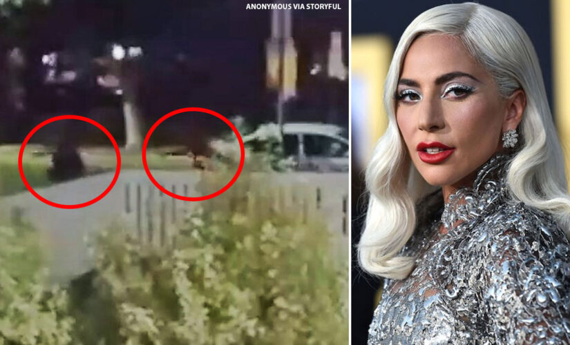 Lady Gaga’s alleged dognappers arrested for robbery, attempted murder of dog walker