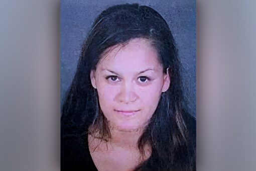 California mother suspected of killing 3 kids ‘unwell’ for months, family member says; father ‘devastated’