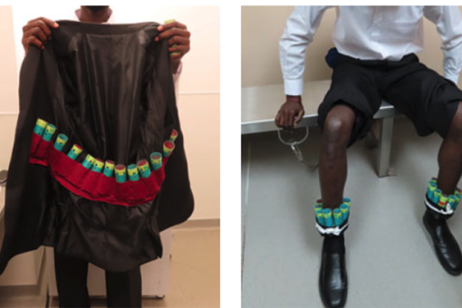 Man busted at JFK with 35 live finches stuffed inside hair curlers