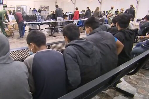 USDA sending 500 volunteers to Mexico border, expected to work 12-hour shifts without training: report