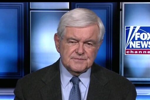 Gingrich: ‘Very dangerous time’ with police being vilified, especially for minorities