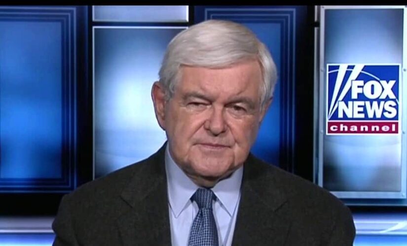 Gingrich: ‘Very dangerous time’ with police being vilified, especially for minorities