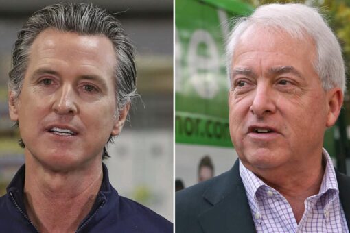 California Republican gubernatorial candidate on Newsom recall effort: ‘Voters have finally woken up here’