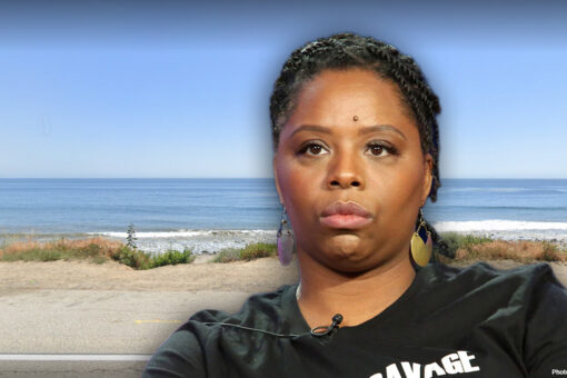 BLM co-founder’s group spent $26,000 at luxury Malibu resort