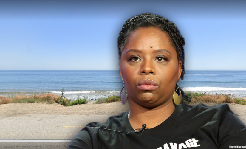 BLM co-founder’s group spent $26,000 at luxury Malibu resort