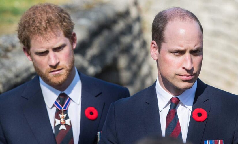 Prince William ‘struggling’ not to share his story after Prince Harry, Meghan Markle interview: report