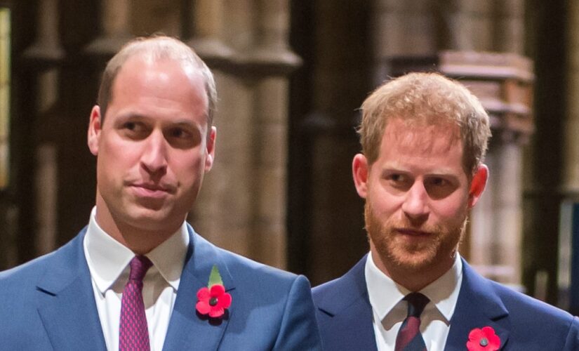 Why Prince William is reportedly hesitant to reconcile with Prince Harry quickly