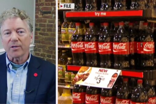 Rand Paul blasts Democrats’ ‘racist’ implication voters of color cannot follow rules