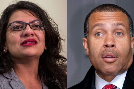 Detroit police chief slams Rashida Tlaib: ‘I’d love to see her resign’