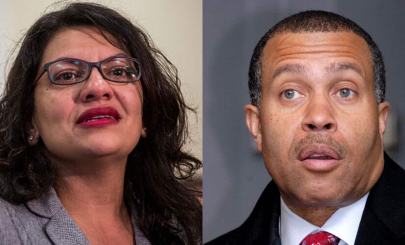Detroit police chief slams Rashida Tlaib: ‘I’d love to see her resign’