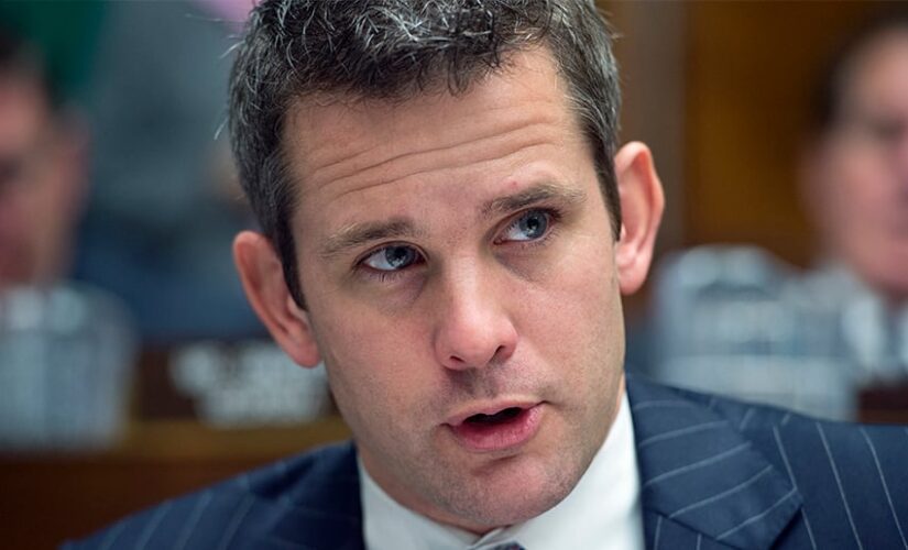 GOP Rep. Kinzinger hauls in big bucks after facing Trump’s wrath