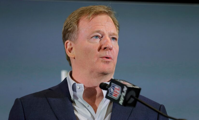 NFL Commissioner Roger Goodell wants ‘full stadiums’ for the 2021 season