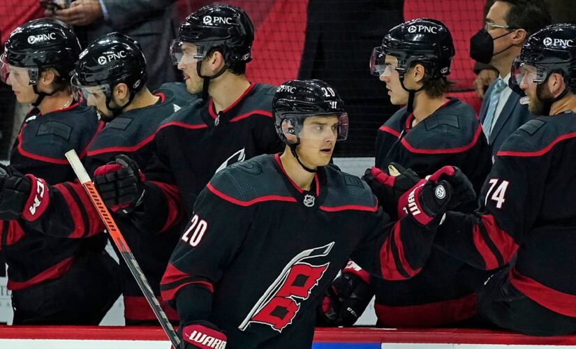 Nedeljkovic excels as Hurricanes blank Panthers 3-0