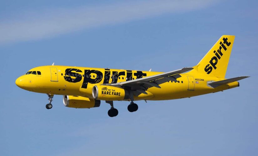 Family kicked off Spirit flight for toddler not wearing mask over seizure concerns, mom says