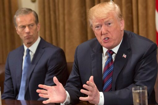 Sen Thune not ‘afraid of a fight’ if Trump backs a challenger in 2022
