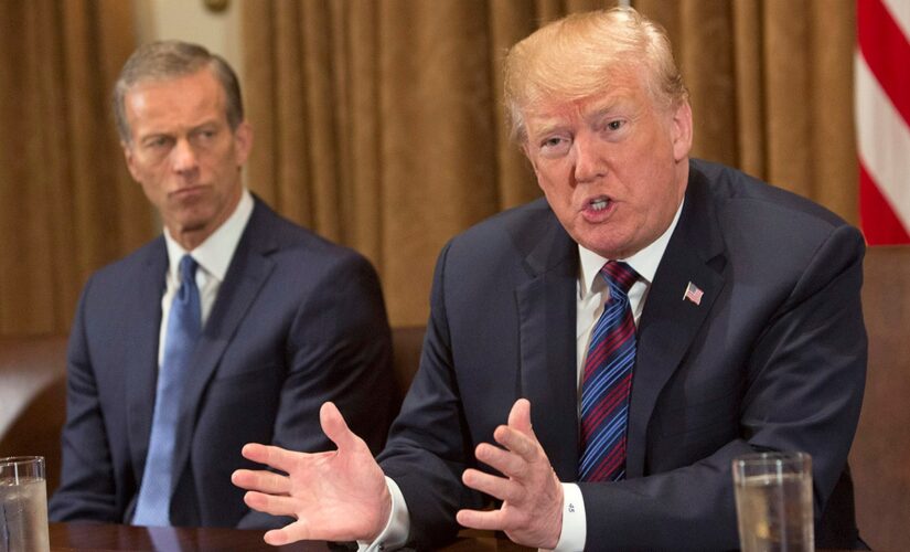 Sen Thune not ‘afraid of a fight’ if Trump backs a challenger in 2022