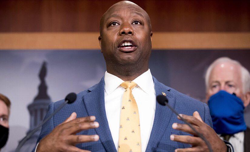 Democrats silent on ‘Uncle Tim’ slur targeting Scott