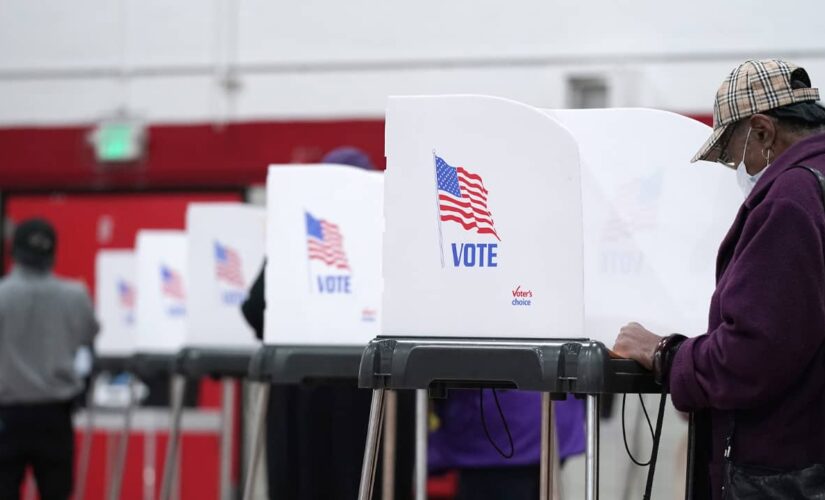 Poll shows voter ID laws overwhelmingly popular among Americans