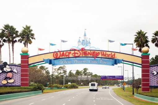 Teen saves drowning toddler during spring break trip to Disney World