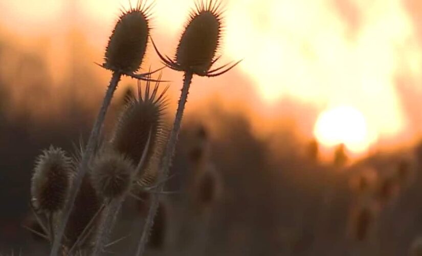 Wisconsin wildfires creates state of emergency