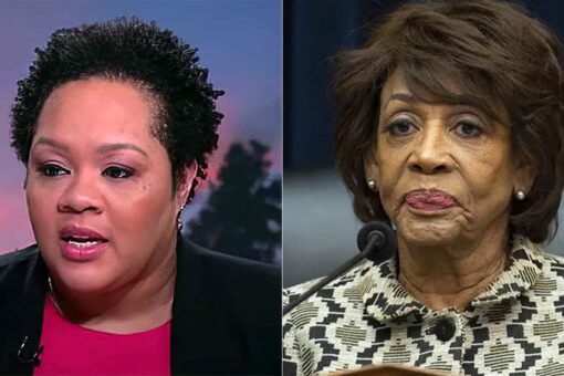 PBS’ Yamiche Alcindor claims Waters ‘did not threaten violence’ after Chauvin attorney requests mistrial