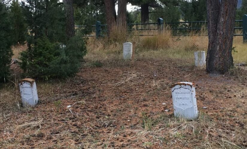 Yellowstone treasure hunter sentenced to prison for digging up graveyard