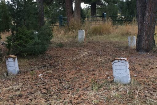 Yellowstone treasure hunter sentenced to prison for digging up graveyard