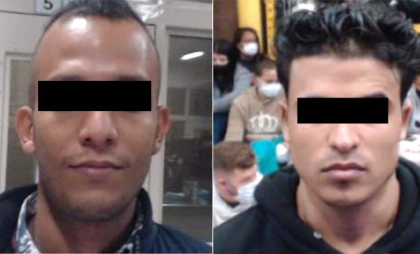 Illegal immigrant on FBI’s Terrorism Watch List caught near US-Mexico border, officials reveal