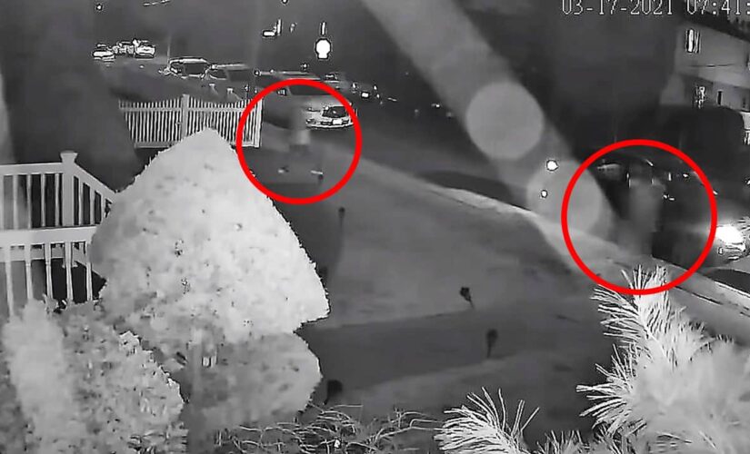 Long Island college student doused with acid in horrific assault