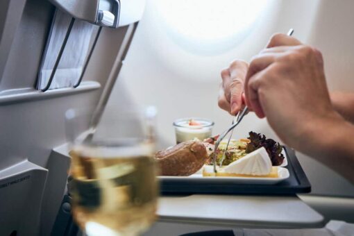 Japanese airline offers in-flight meals on grounded planes: report