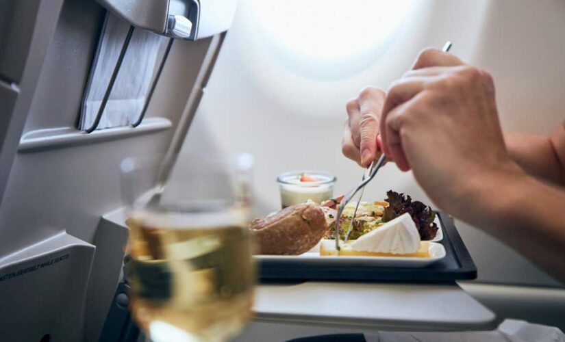 Japanese airline offers in-flight meals on grounded planes: report