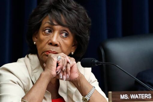 Maxine Waters urges Minnesota anti-police crowd to ‘stay on the street’ if Chauvin acquitted in Floyd case