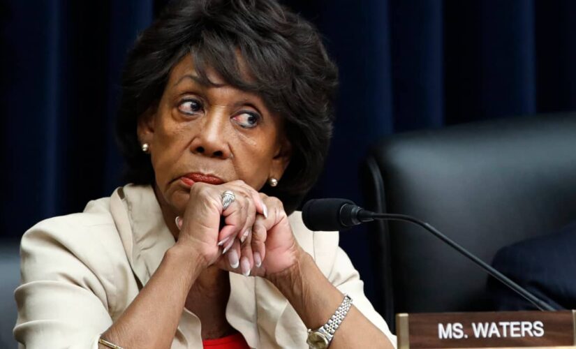 Maxine Waters urges Minnesota anti-police crowd to ‘stay on the street’ if Chauvin acquitted in Floyd case