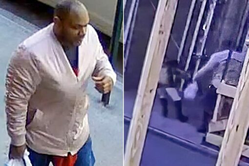 Family of NYC Asian hate crime victim thanks anonymous Good Samaritan who diverted attacker’s attention