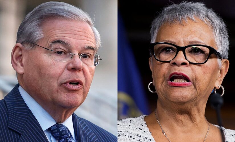Democrats introduce legislation to ban gun silencers