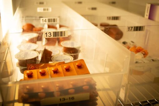 FDA to scrutinize unproven cancer drugs after 10-year gap