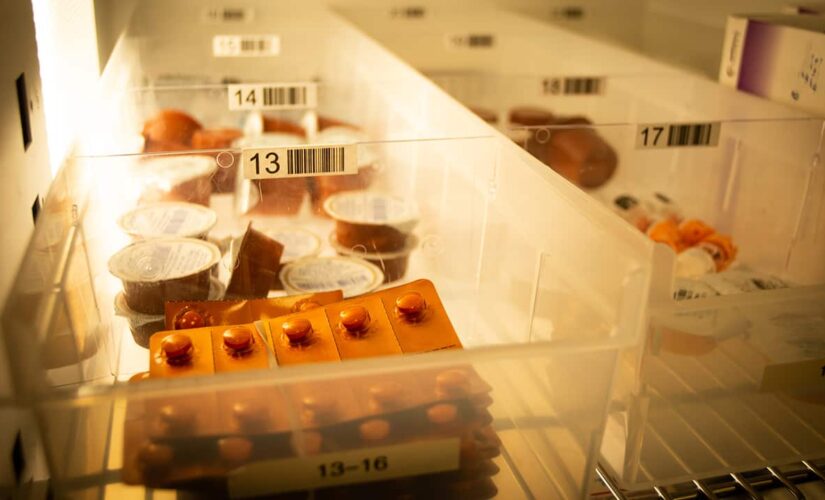 FDA to scrutinize unproven cancer drugs after 10-year gap