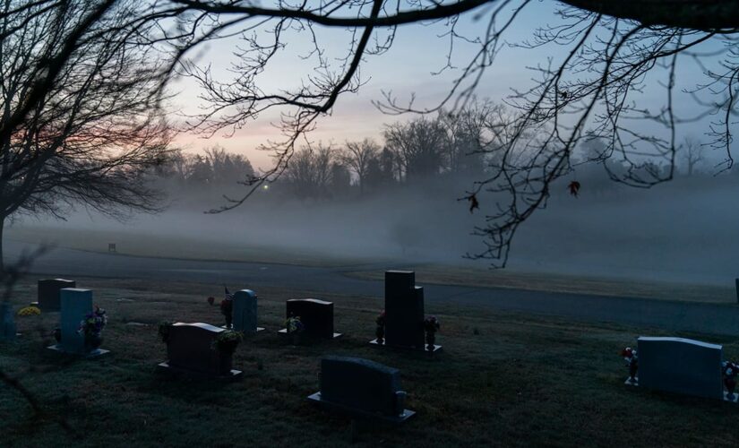US suicides dropped amid coronavirus, defying pandemic expectations