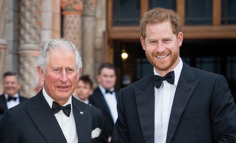 Prince Charles to take estranged son Harry to see Philip tributes: report