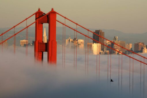 San Francisco in free speech fight following school board VP’s ‘anti-Asian’ tweets