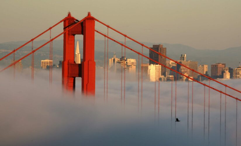 San Francisco in free speech fight following school board VP’s ‘anti-Asian’ tweets